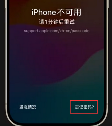 忻城苹果手机密码维修分享iPhone忘记了刚设置的密码 